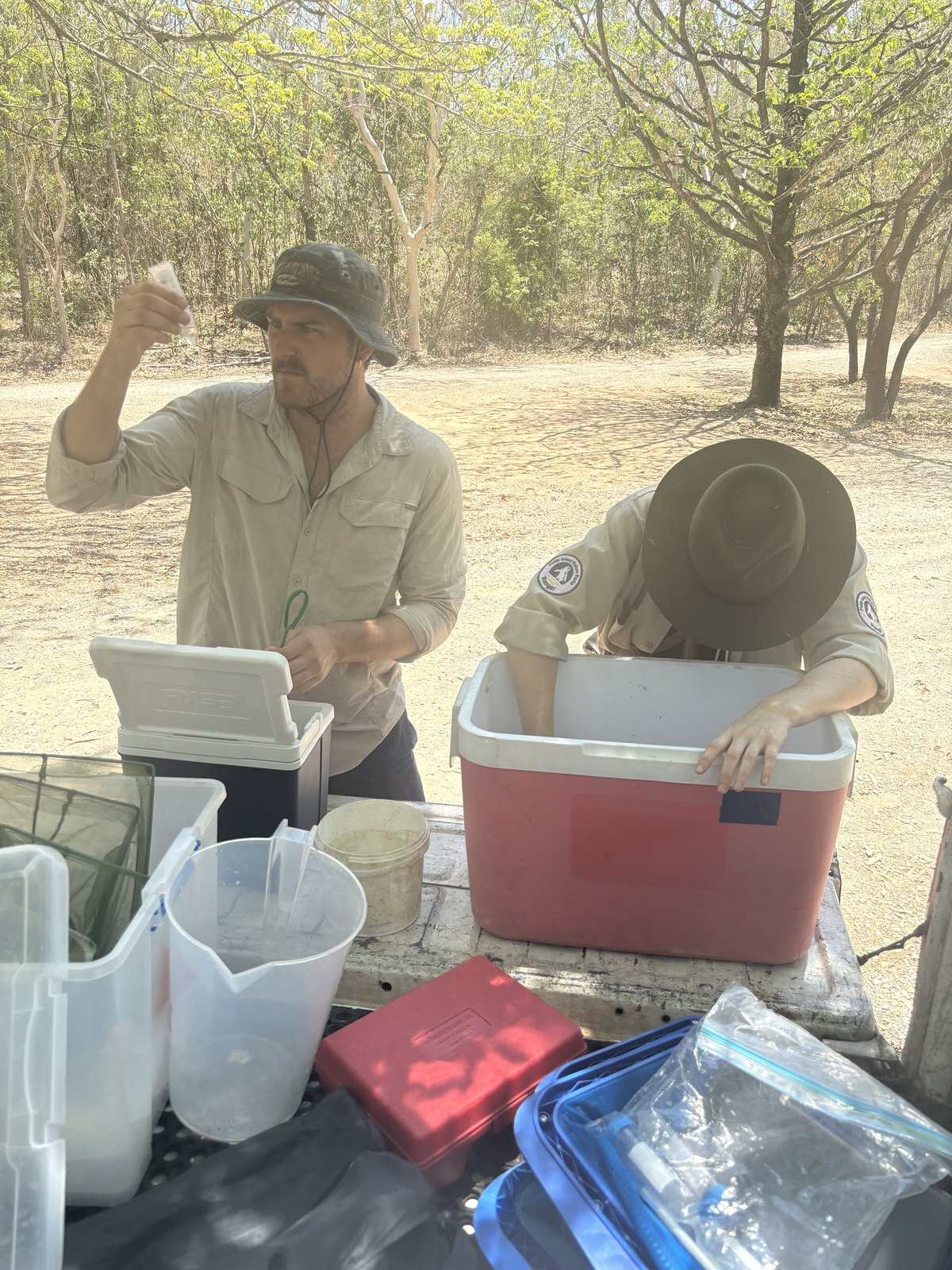 Jack sorting fish specimens in the field