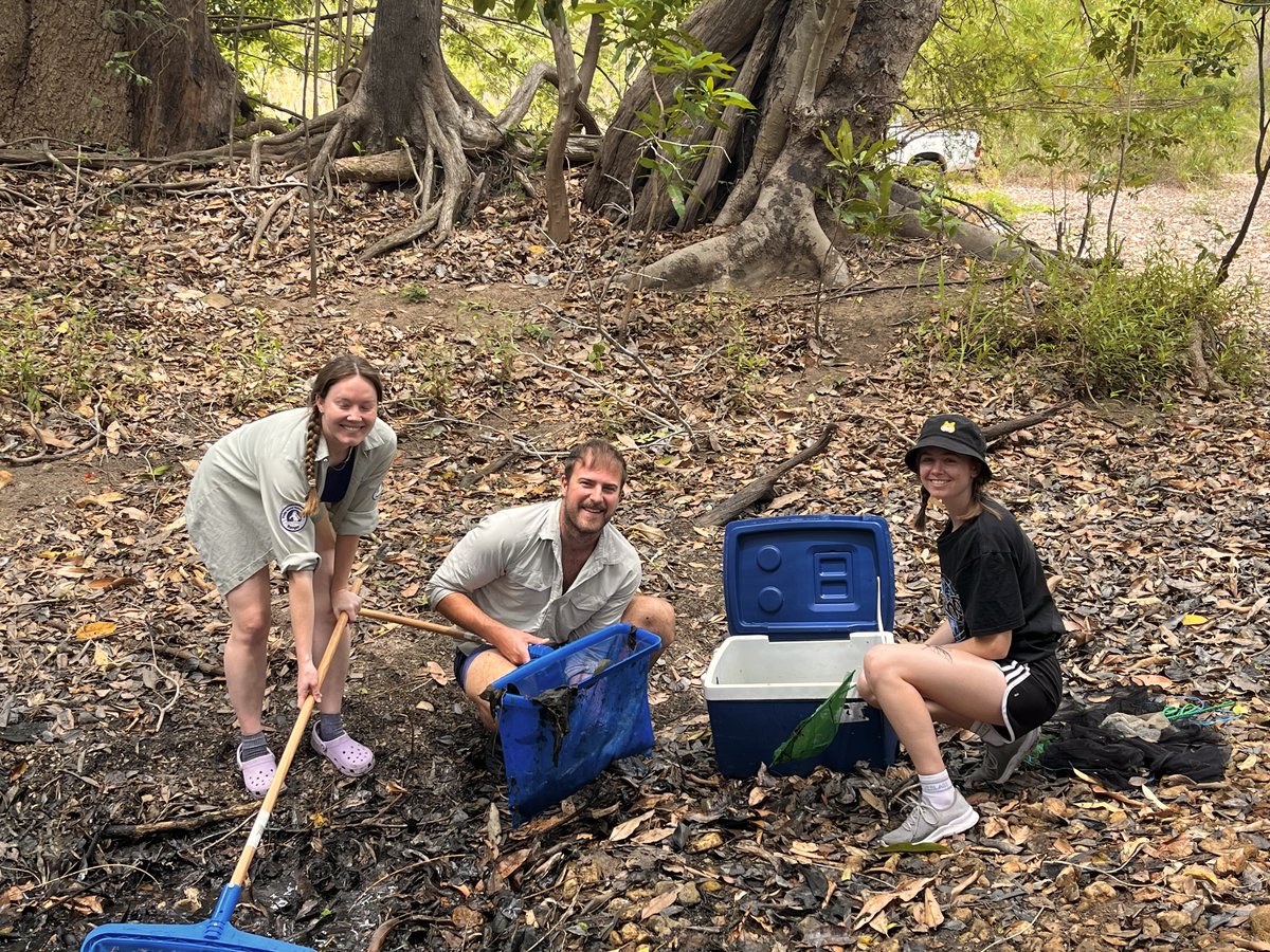 Team collecting fish at a freshwater site